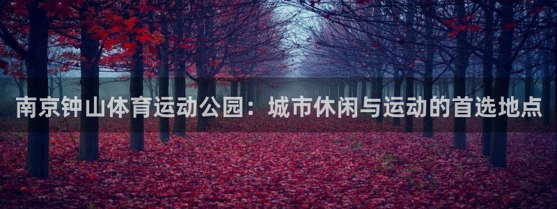 谈球吧：南京钟山体育运动公园：城市休闲与运动的首选地点
