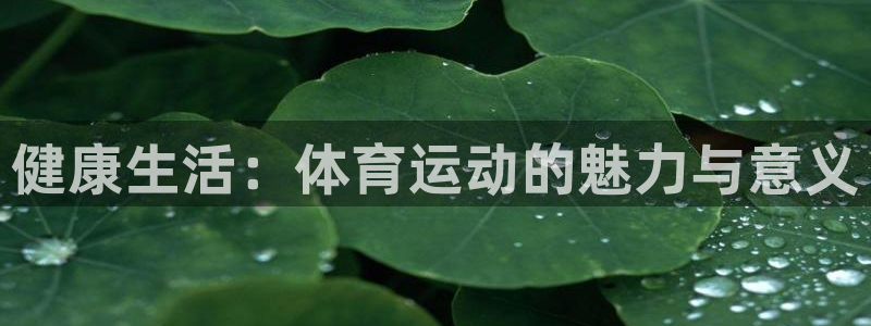 谈球吧体育：健康生活：体育运动的魅力与意义