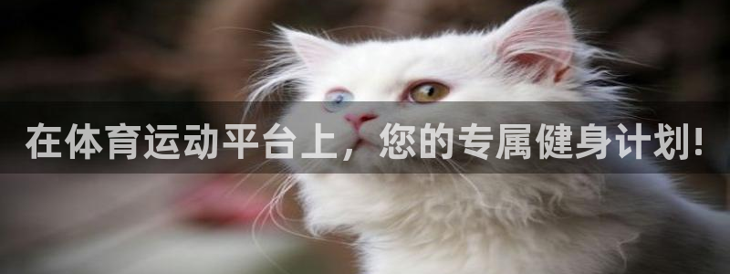 谈球吧体育官网：在体育运动平台上，您的专属健身计划!