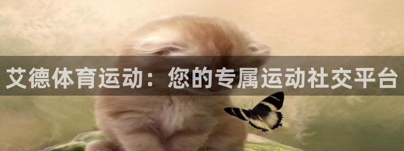 谈球吧体育官网：艾德体育运动：您的专属运动社交平台