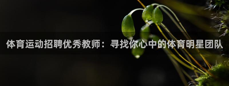 谈球吧体育官网：体育运动招聘优秀教师：寻找你心中的体育明星团队