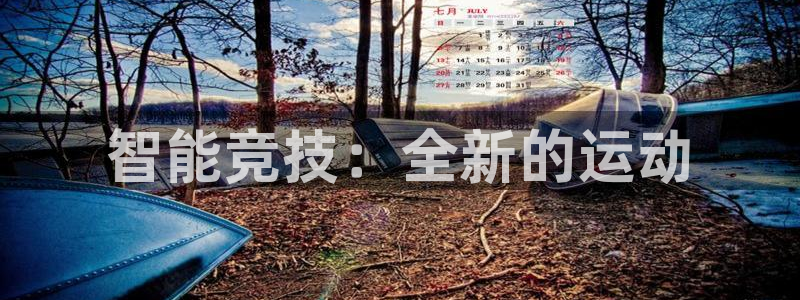 谈球吧体育：智能竞技：全新的运动