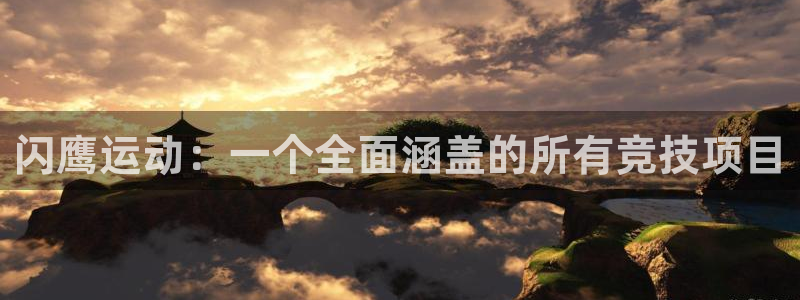 谈球吧体育官网：闪鹰运动：一个全面涵盖的所有竞技项目