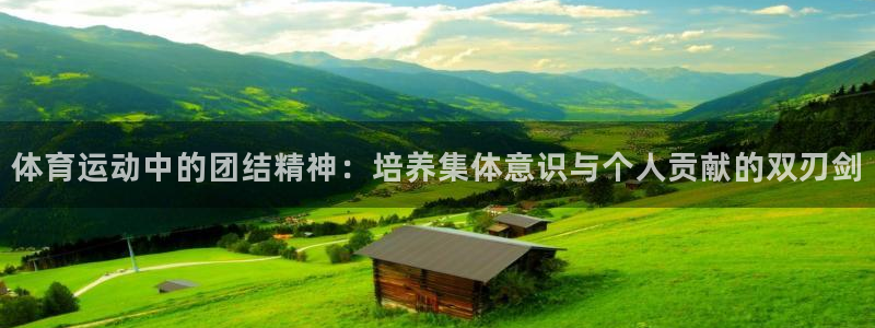 谈球吧体育官网：体育运动中的团结精神：培养集体意识与个人贡献的双刃剑